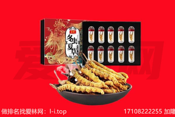 温州市洞头回收虫草.jpg